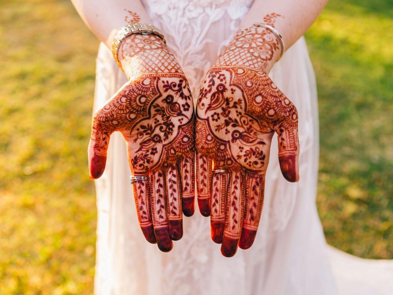 Image Credit: Canva Stock images